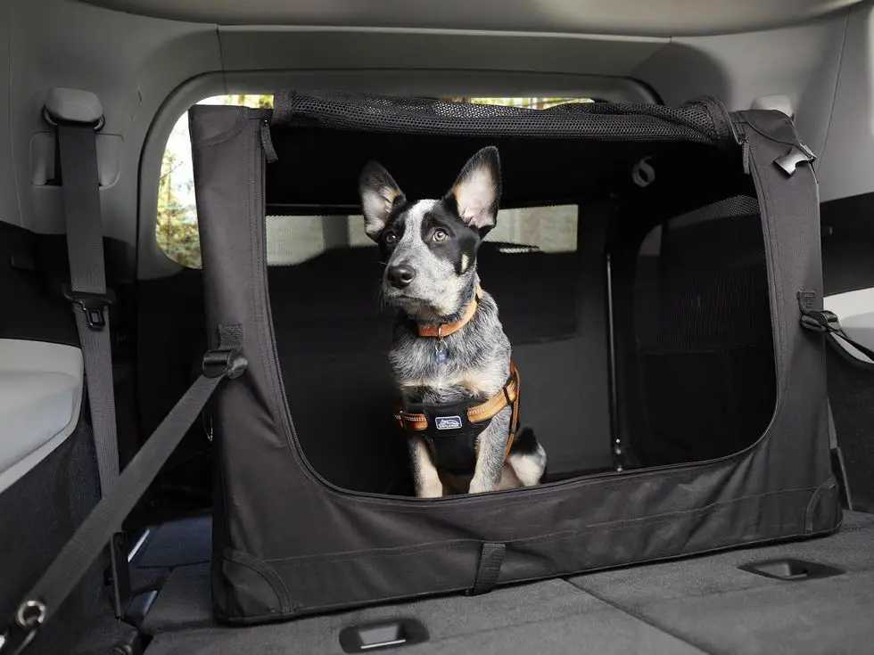 2021 Jeep Grand Cherokee L Overland: Seating & Cargo Areas puppy dog