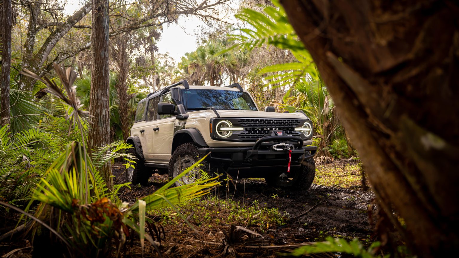 The Everglades adds off-road upgrades to the already rugged Bronco.