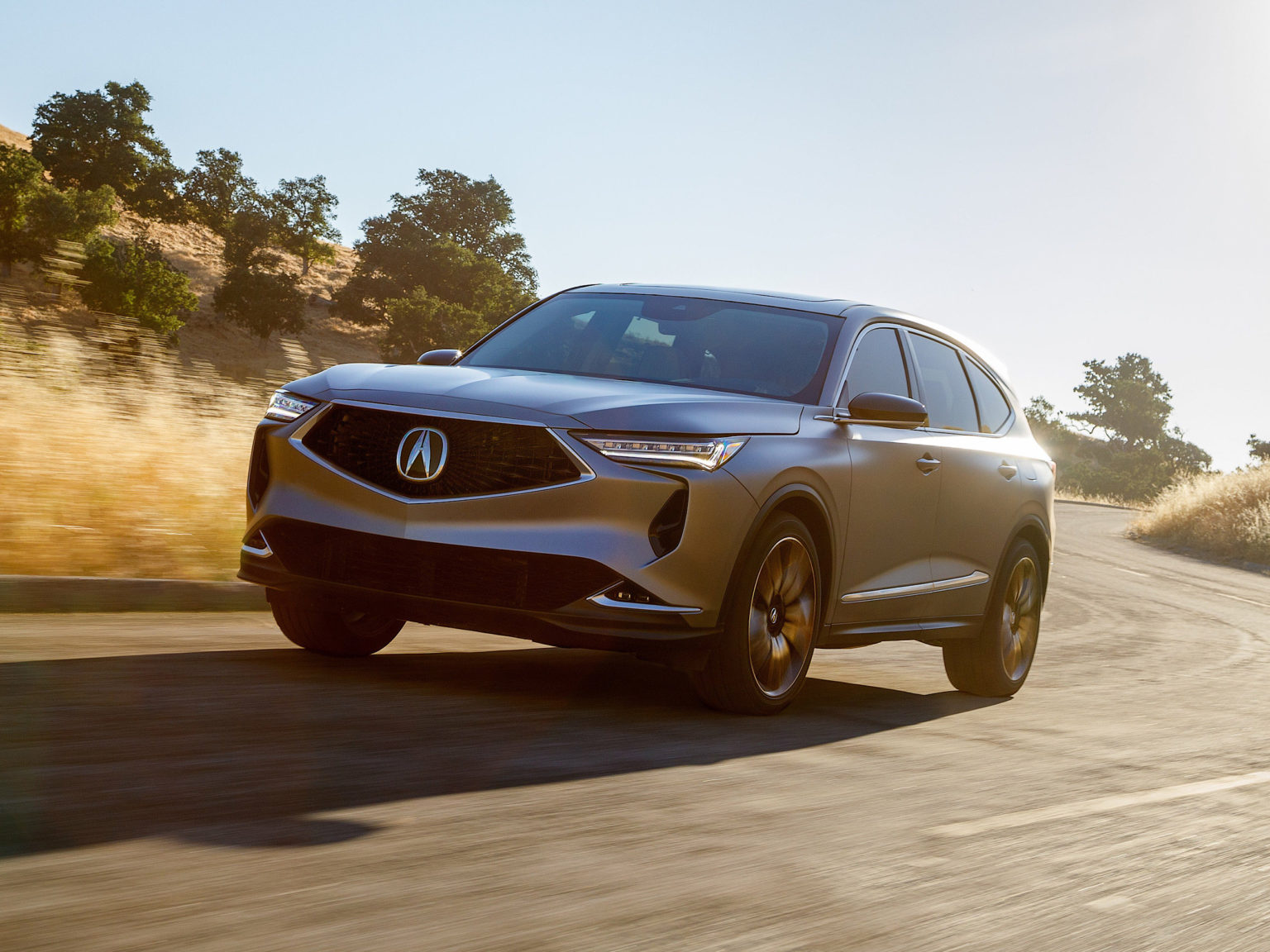 The Acura MDX Prototype has debuted, showing off the future of the SUV.