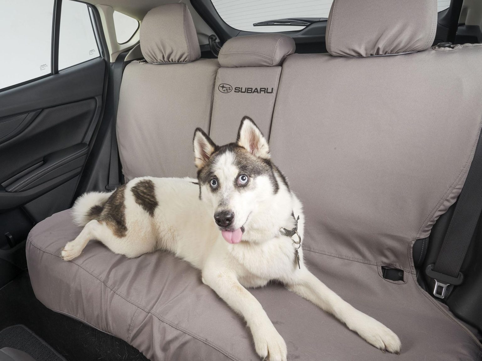 Subaru has teamed up with Sleepypod to create a series of pet accessories.