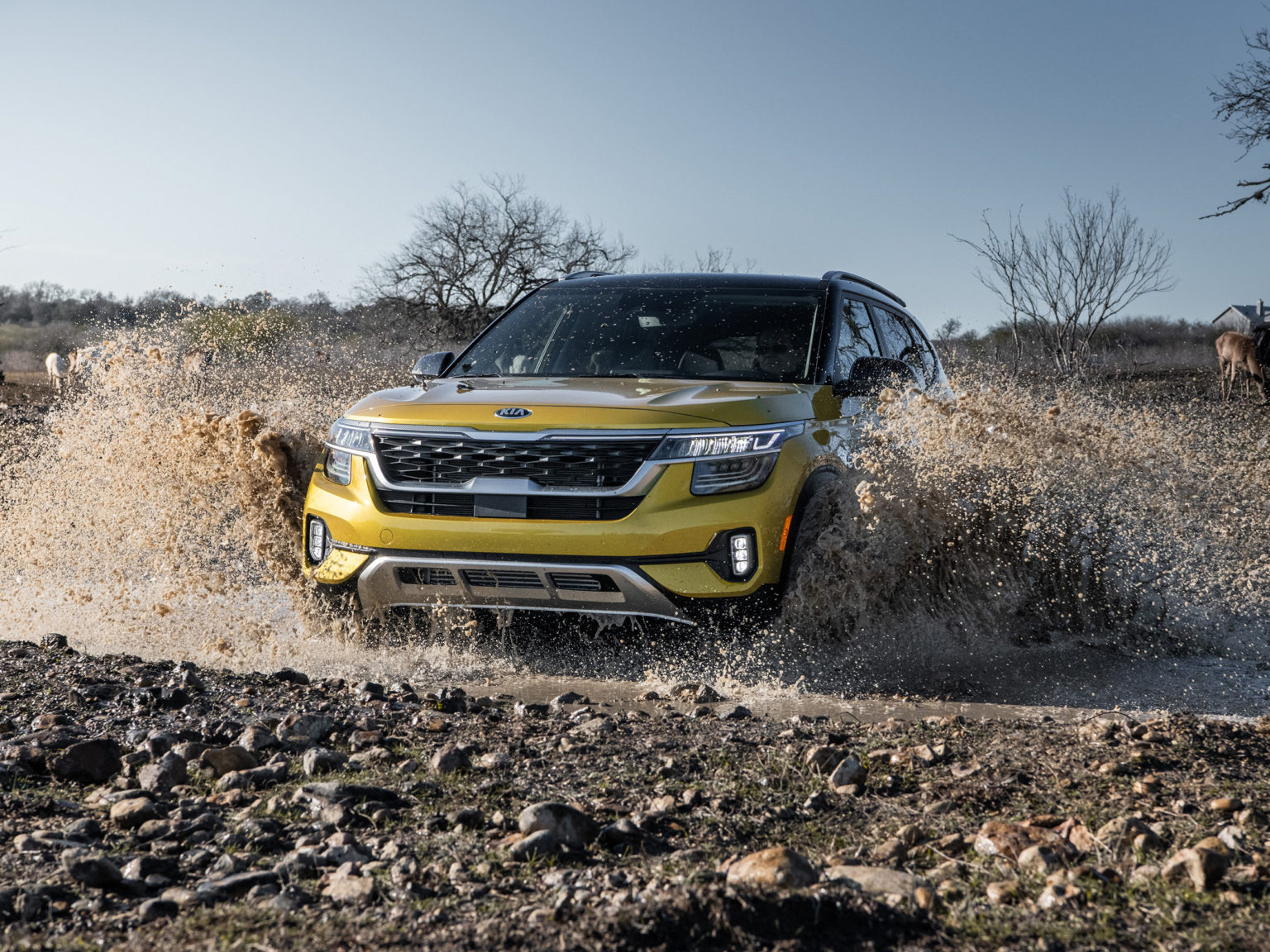 The adventure-ready Kia Seltos has debuted to a long list of accolades.