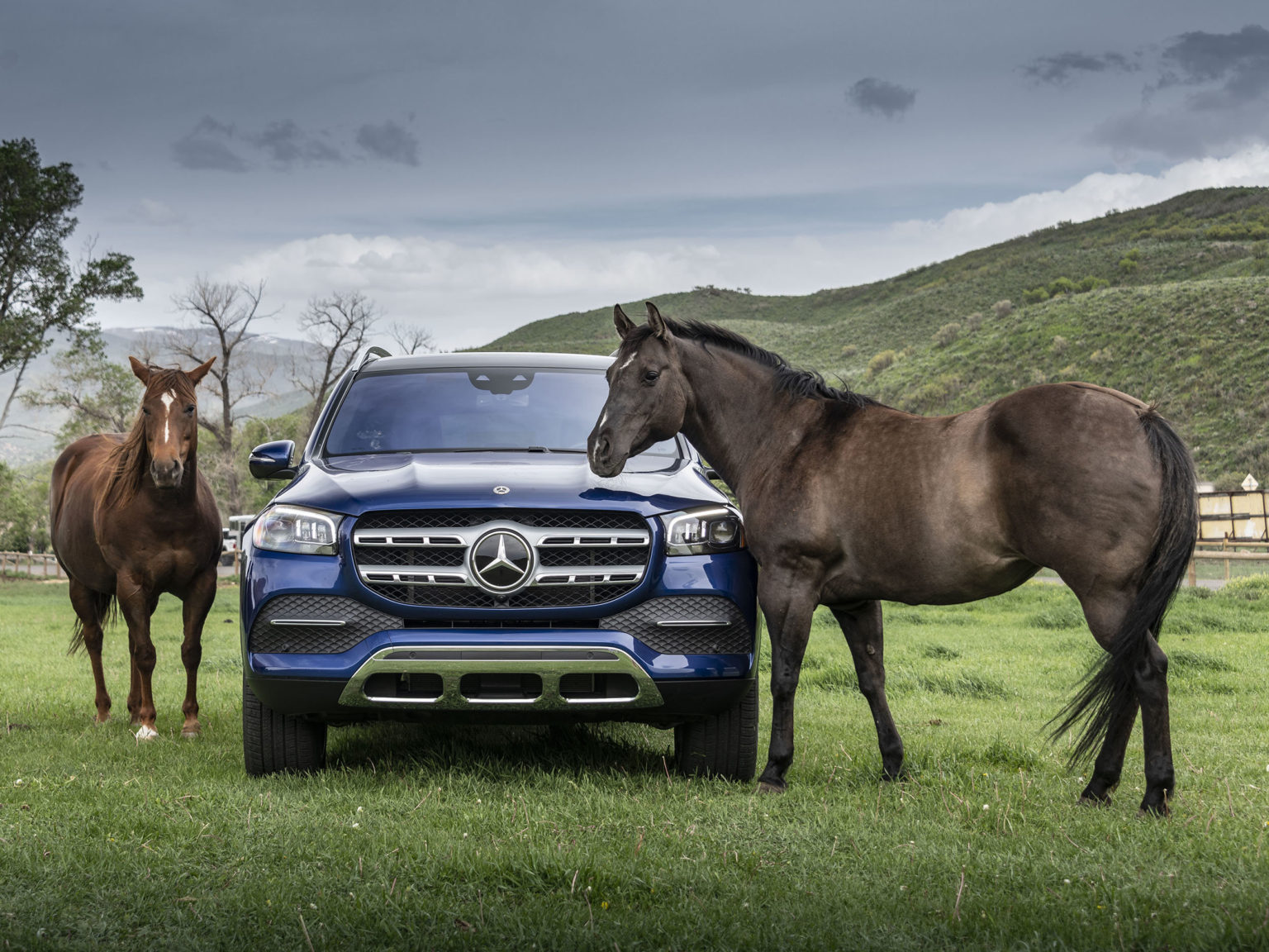 The 2020 Mercedes-Benz GLS 450 is the base model.