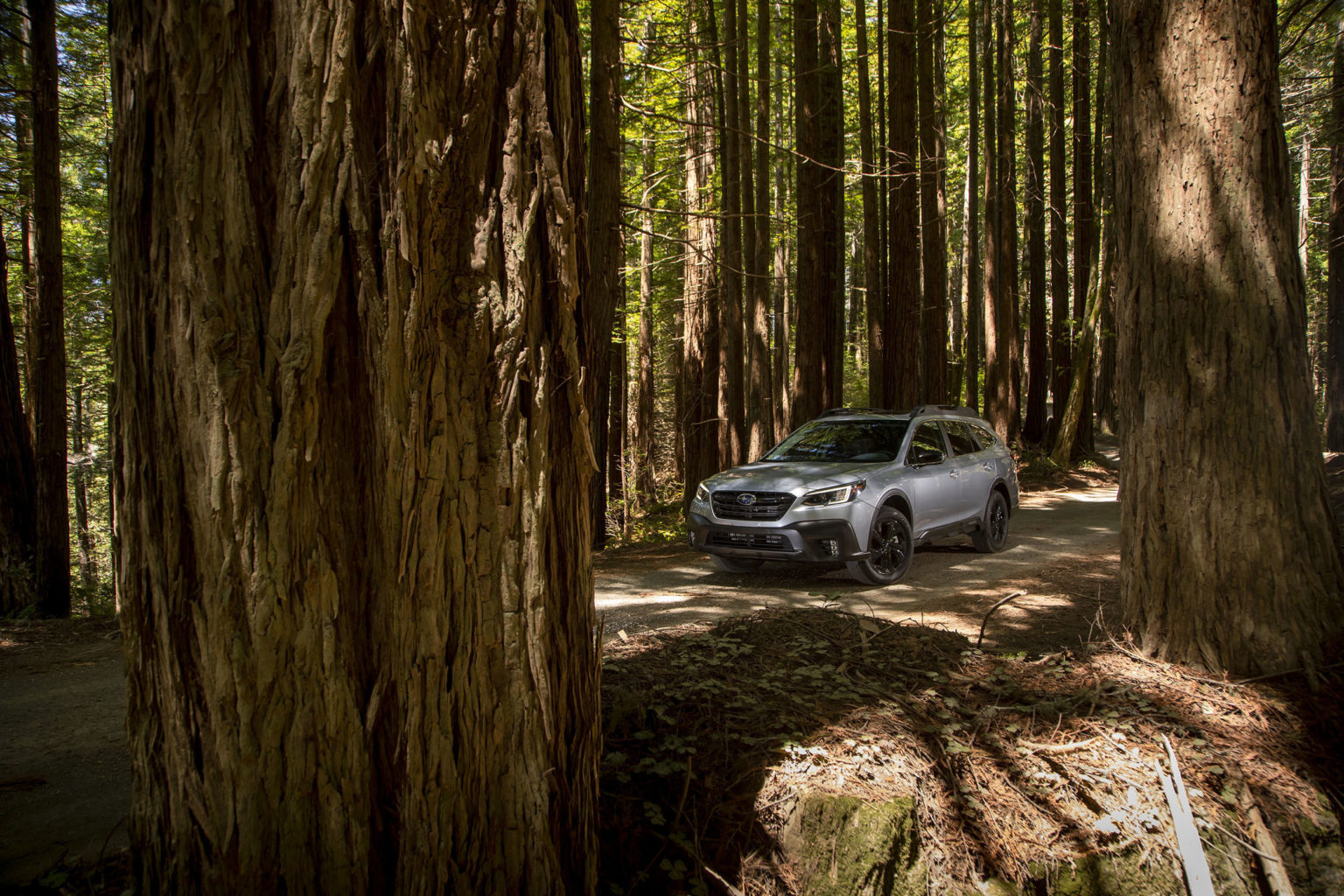The redesigned Subaru Outback is ready for off-roading.