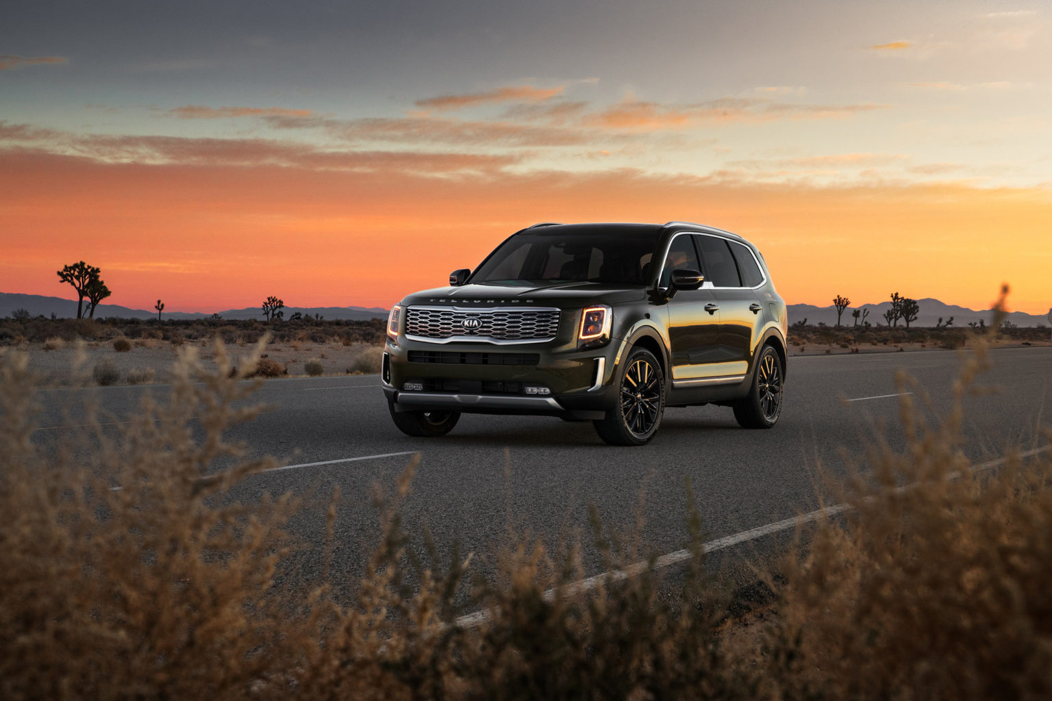The Kia Telluride is just one of the models Americans are most emotionally attached to.