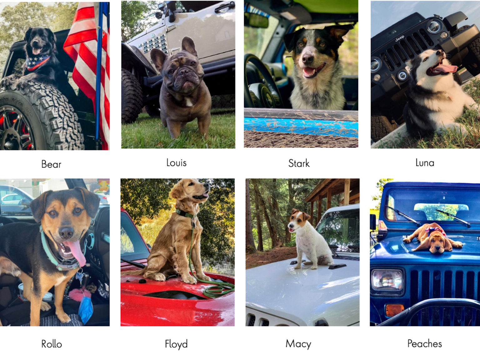 Jeep wants you to vote for your favorite