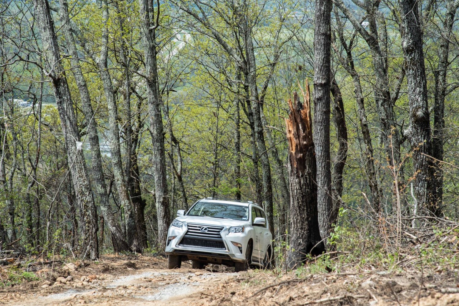Lexus GX SUVs take to the trails at Blackberry Mountain, a luxury resort in the Great Smokey Mountains.